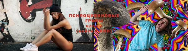 гашик Арсеньев